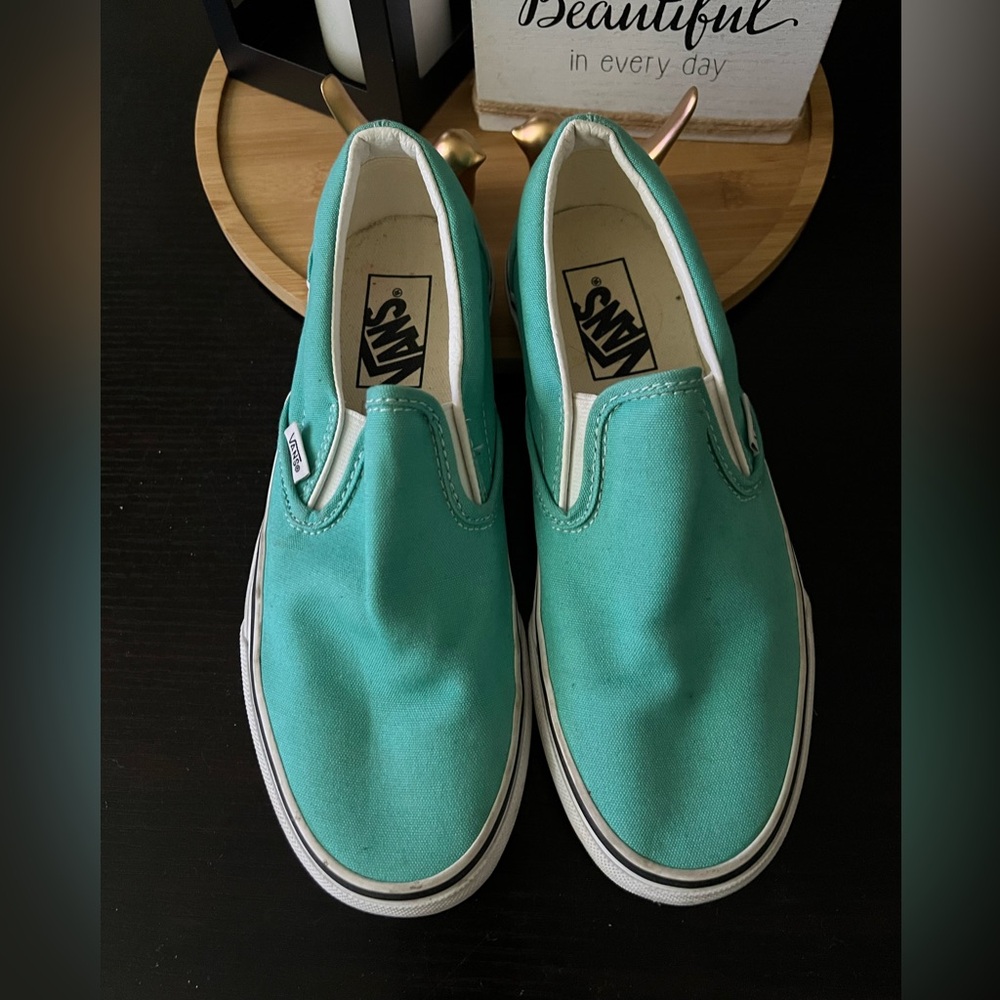 Vans Aqua Slip-On Shoes